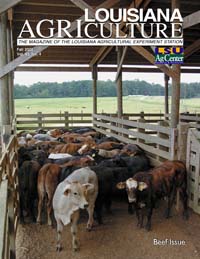 Louisiana Agriculture Magazine Fall 2000