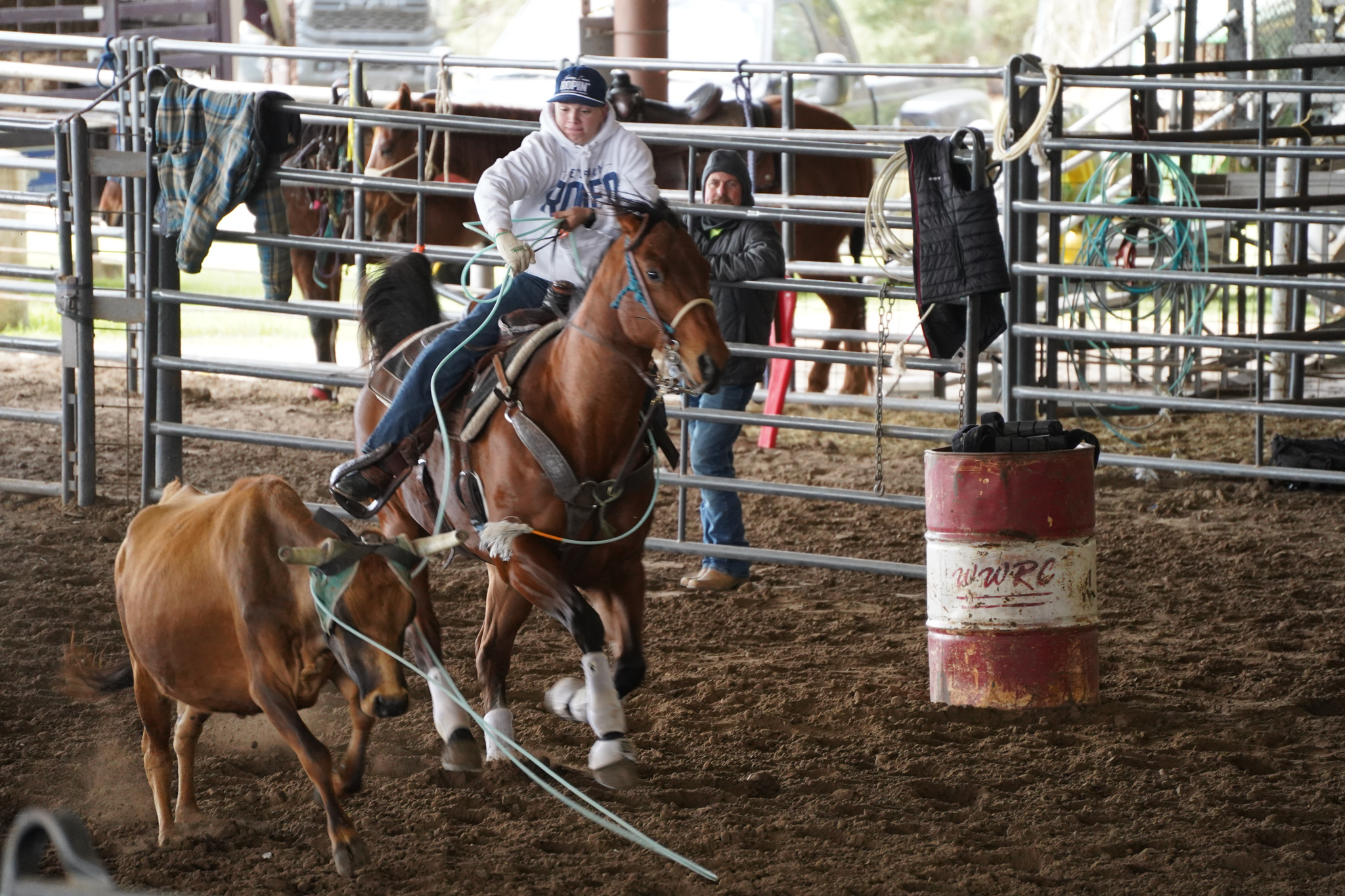 A young man ropes the horns of a steer.