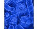 antimicrobalbluejpg