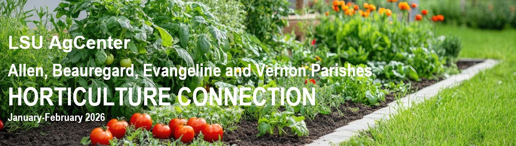 Horticulture Connection- January/February 2026