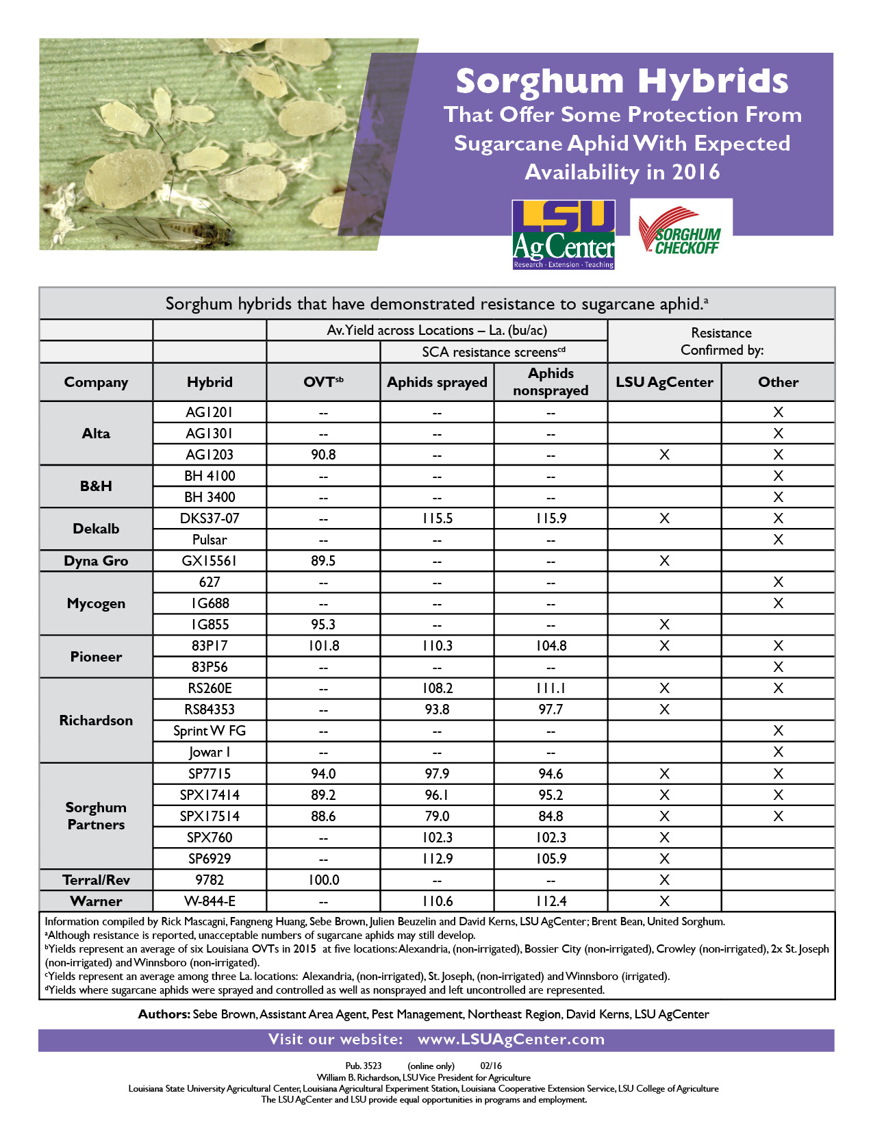 2016 Sorghum Hybrids that Offer Some Protection from Sugarcane Aphid