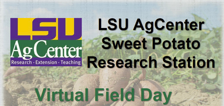 Sweet Potato Research Station Virtual Field Day
