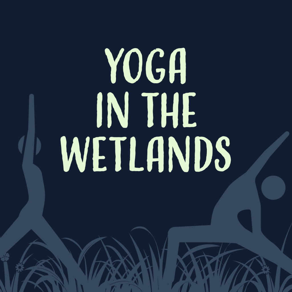 Yoga in the Wetlands