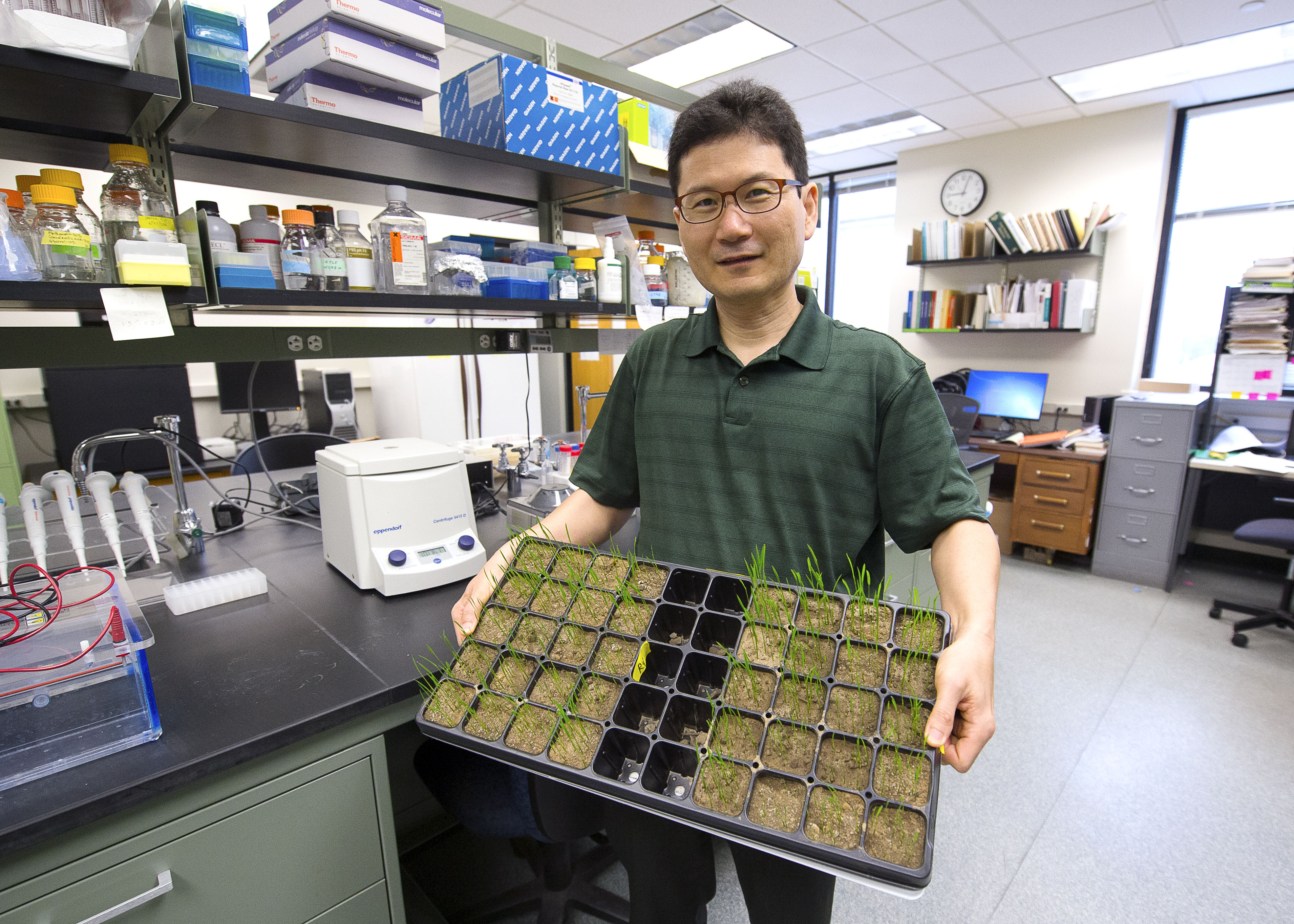 Development of Alternative Strategies to Manage Crop Diseases
