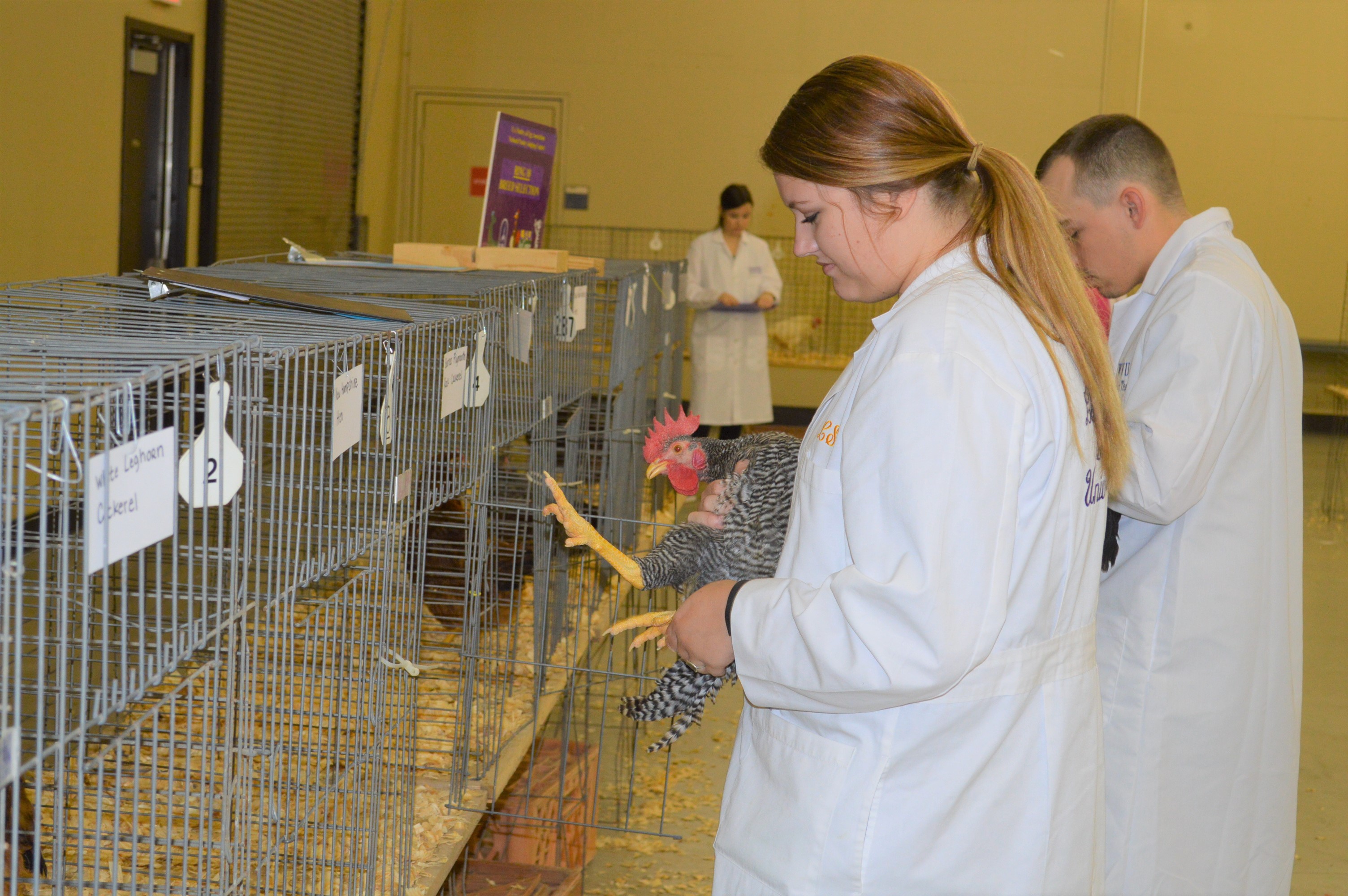 LSU takes top honors at national poultry judging contest