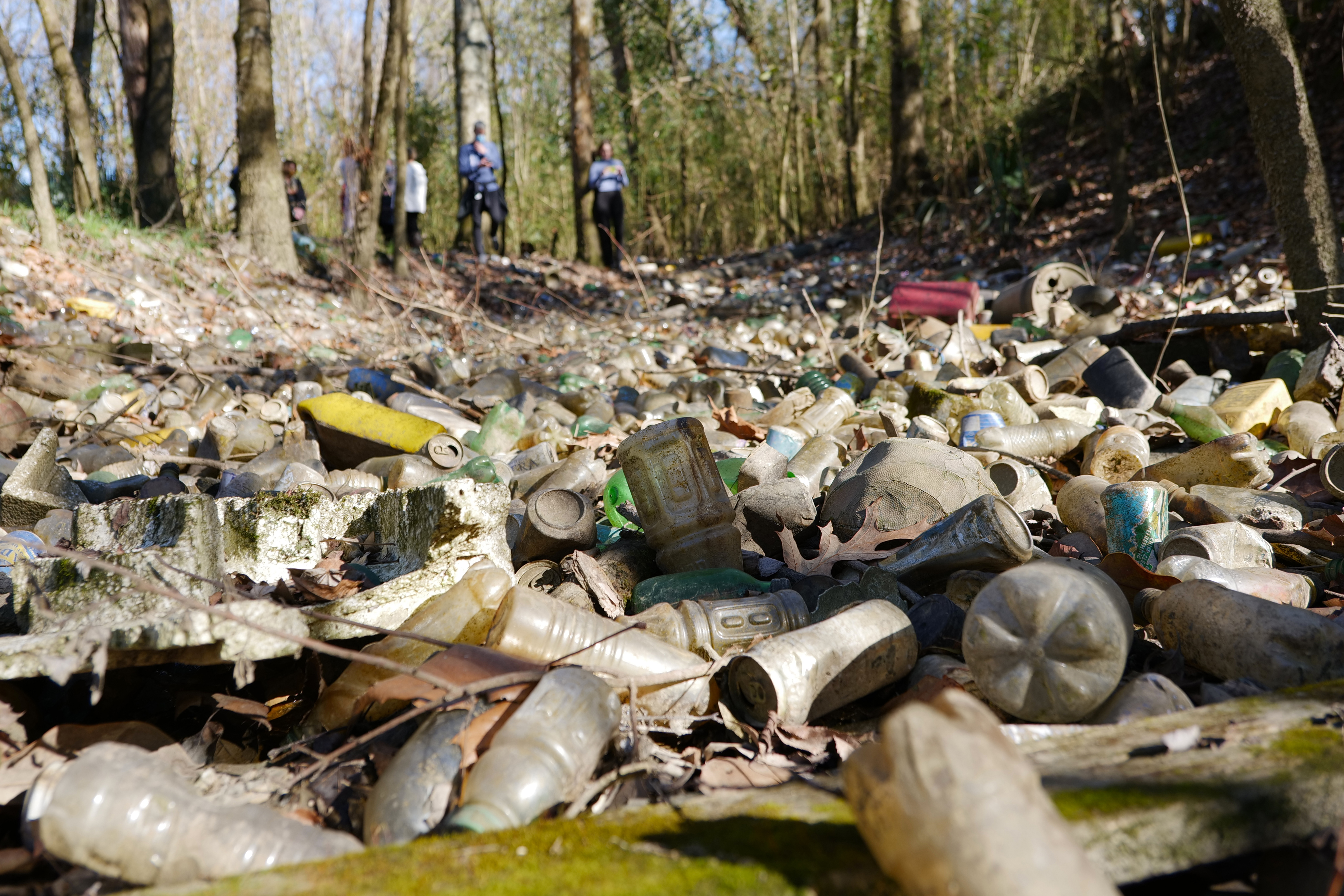 Watershed moment: LSU AgCenter Botanic Gardens awarded EPA grant for trash abatement 
