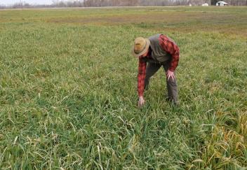 Conservation focus of new research efforts