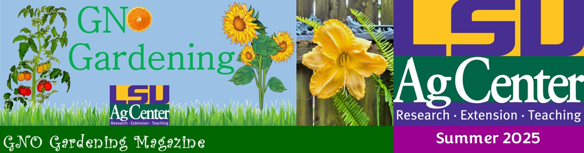 GNO Gardening Magazine-Summer 2025