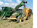 A combine harvests sugarcane and loads the cane into a wagon pulled by a tractor. 