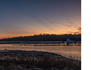 A boat pushes a barge on a river at sunset. 