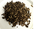 Larvae are massed on a paper plate. 