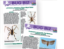 Two publications about bugs are arranged in the image. 