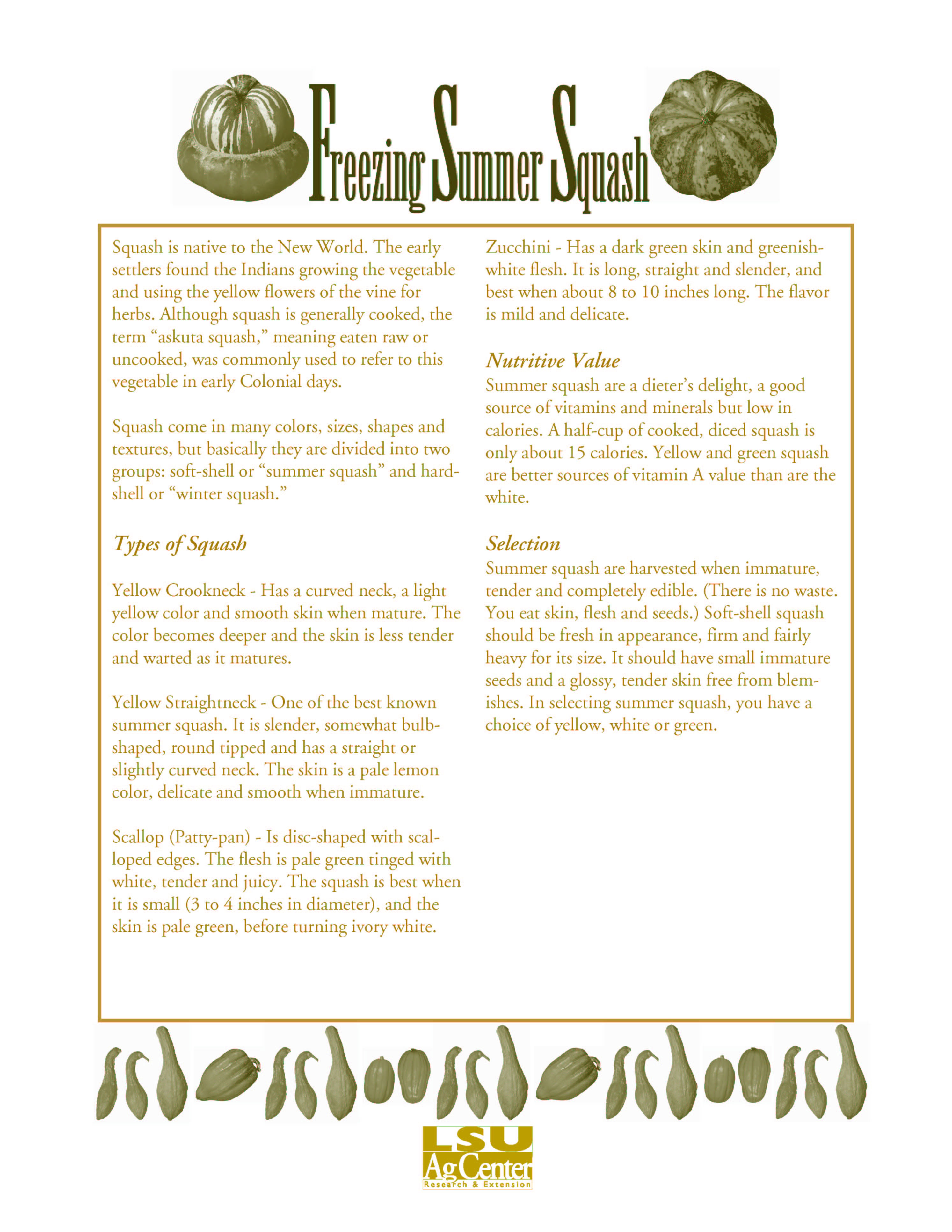 Freezing Summer Squash