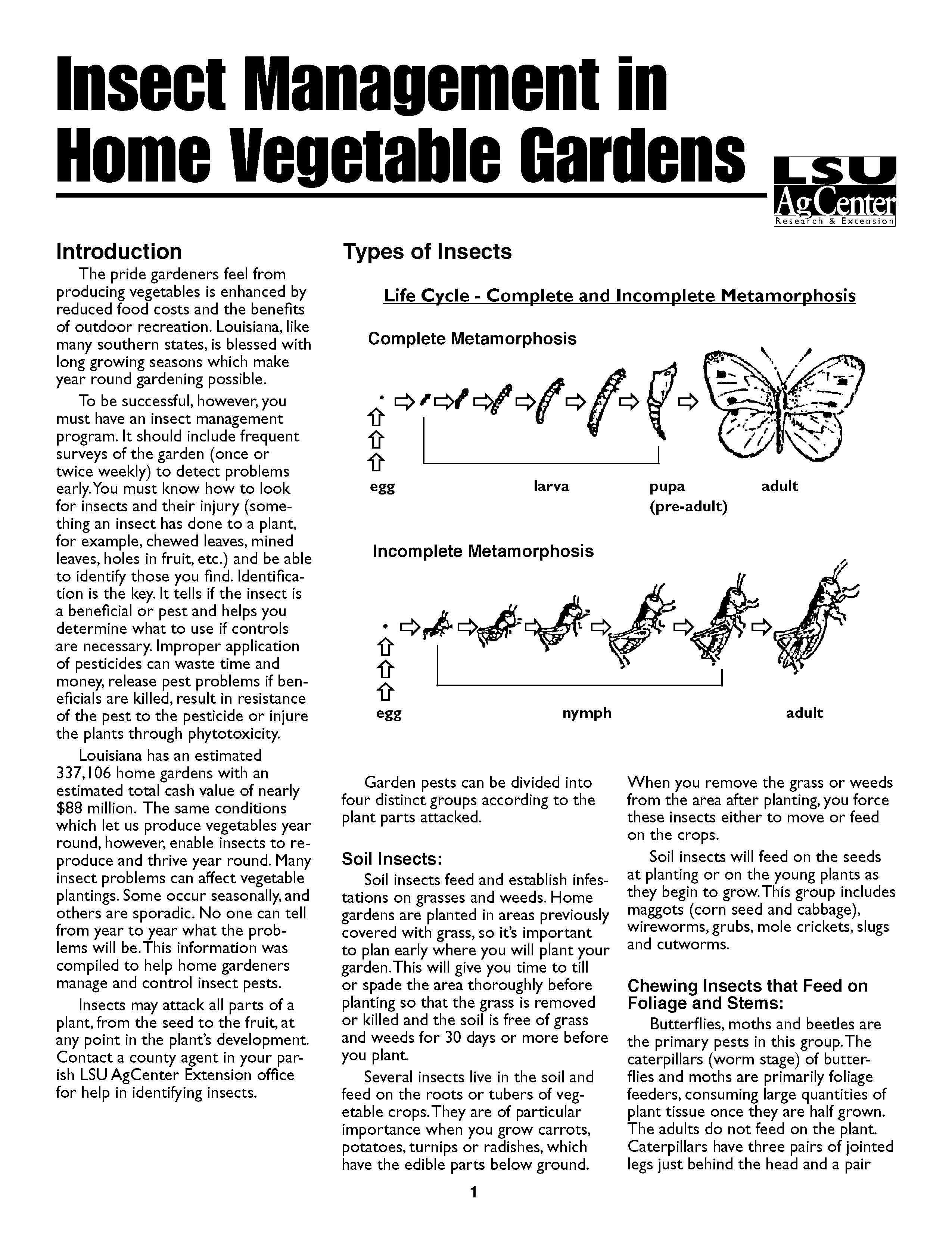 Insect Management in Home Vegetable Gardens