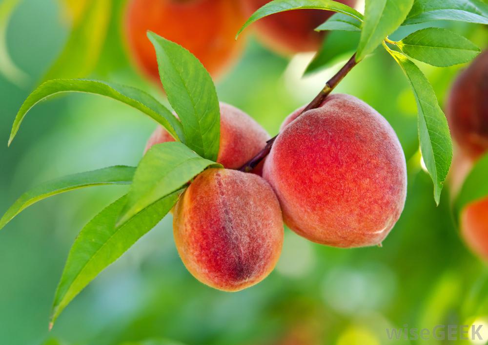 Peachjpg
