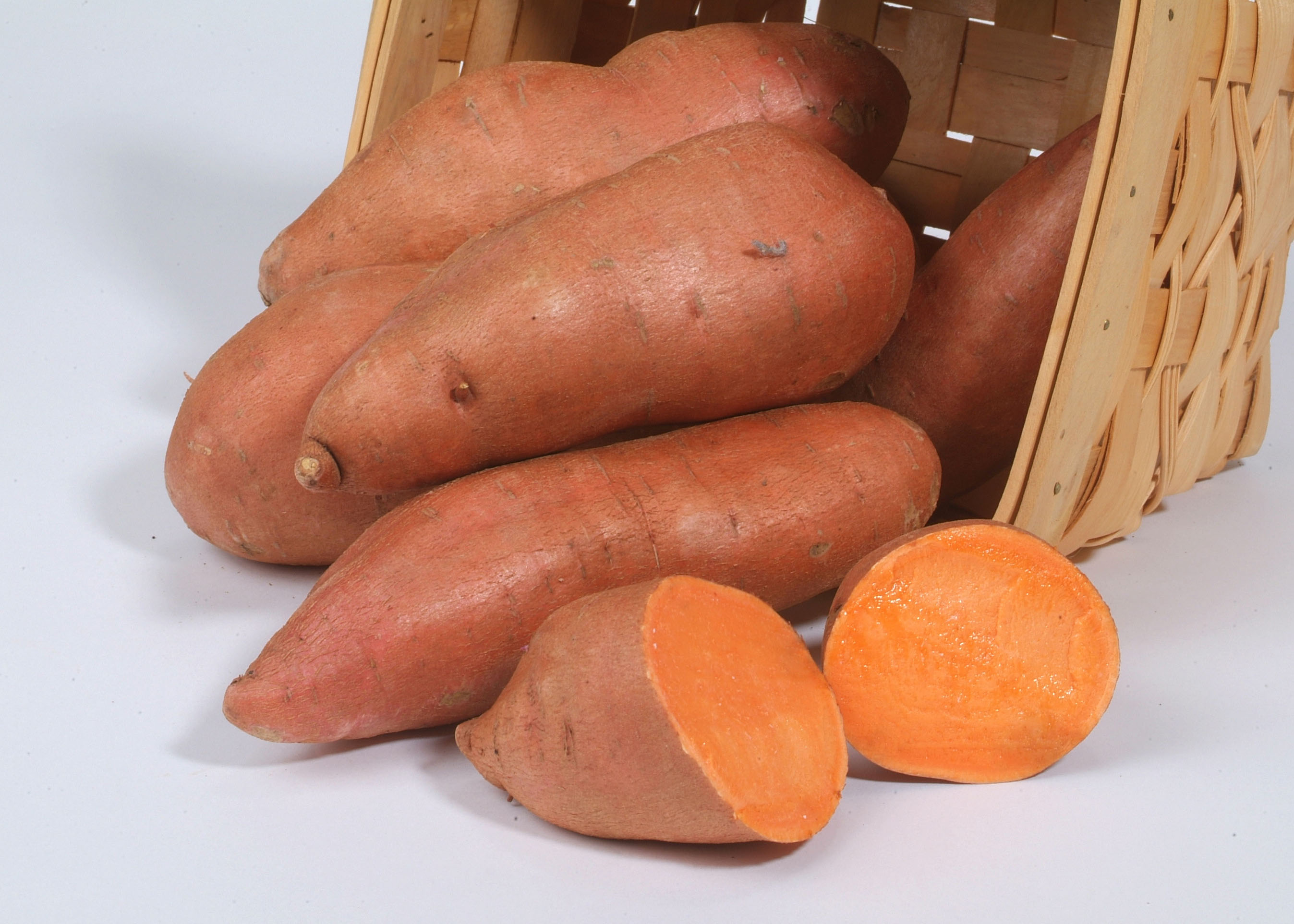 Evaluating Yield and Quality of Commercial Sweet Potato Varieties in Louisiana