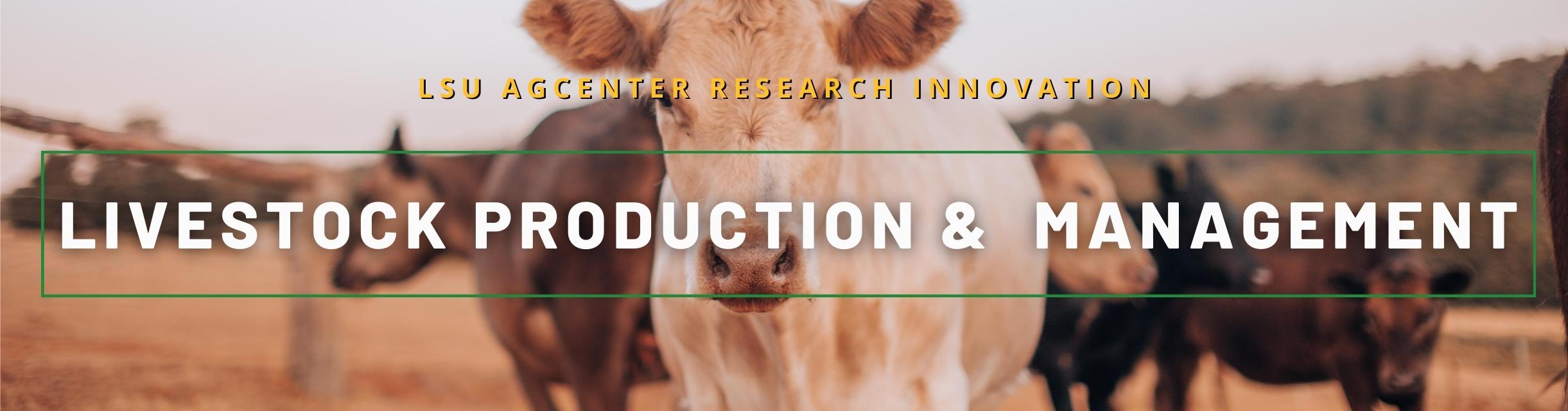 lIVESTOCK.jpg thumbnail