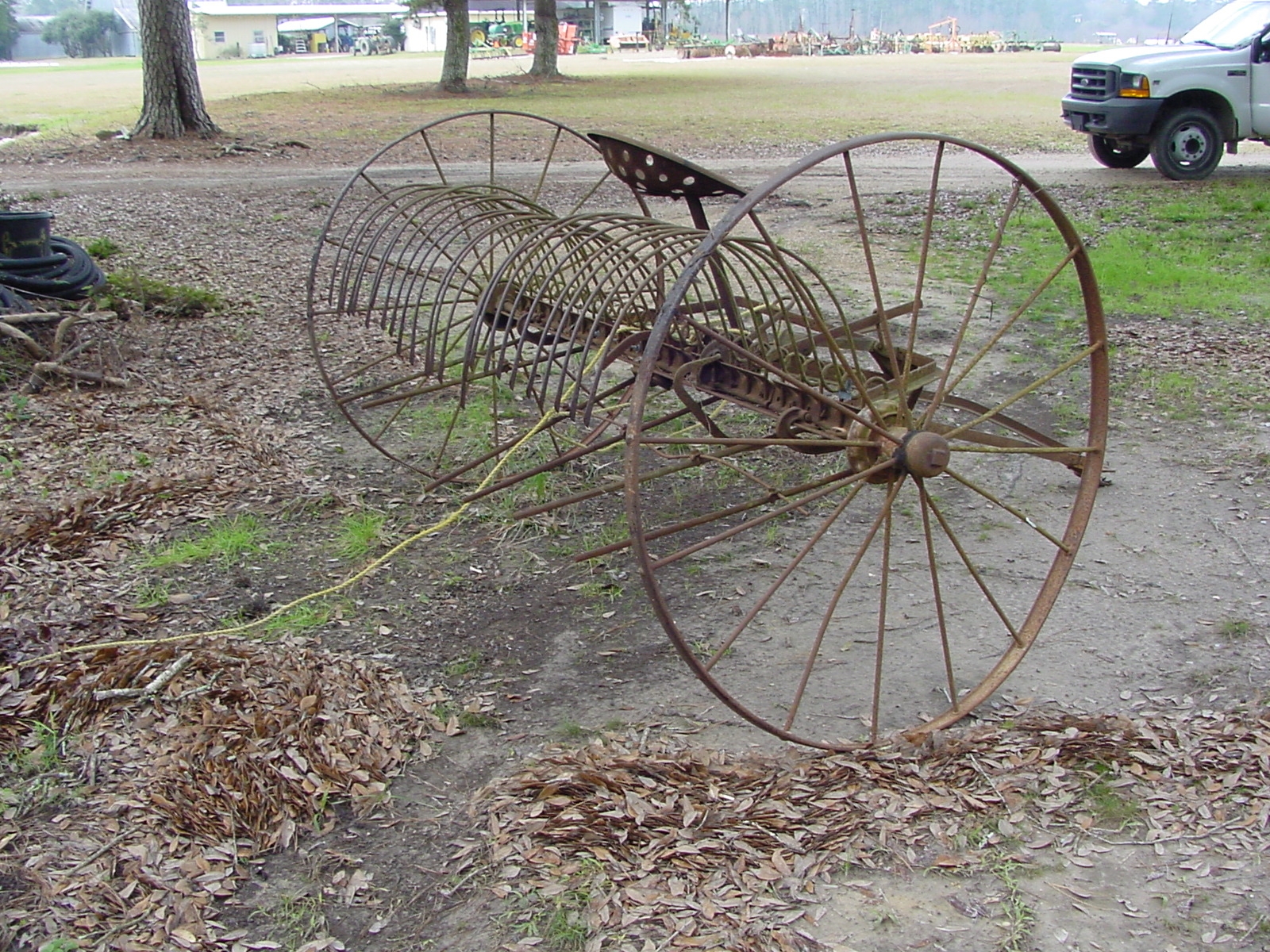 Raking Pine Straw