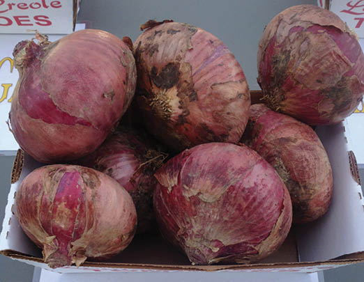 A bushel of purplish red onions sitting on a shelf.