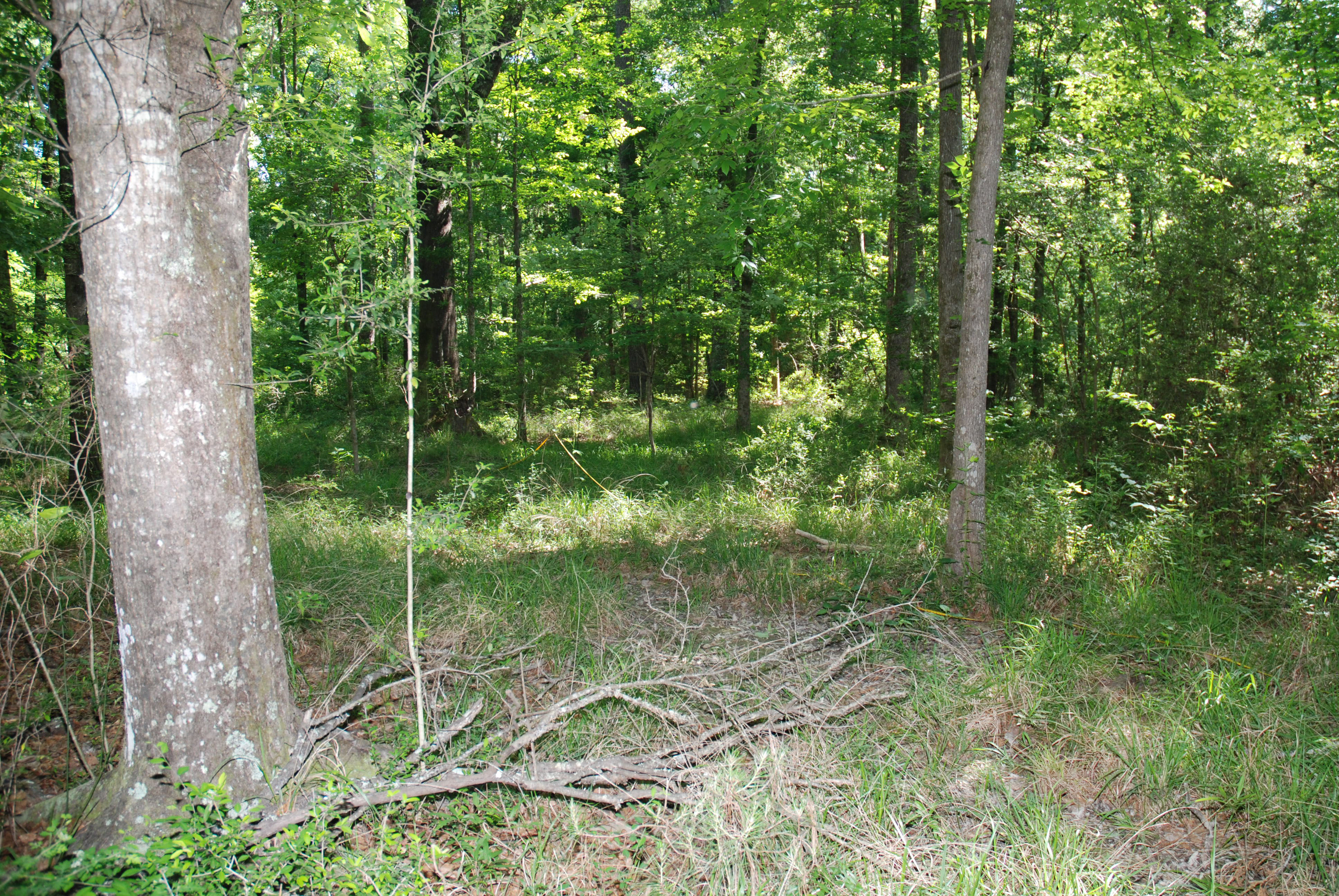 Prescribed burn workshop for foresters set for May 8-10 in Woodworth 