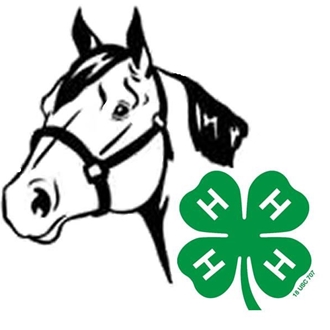 4-h_horse.jpg thumbnail