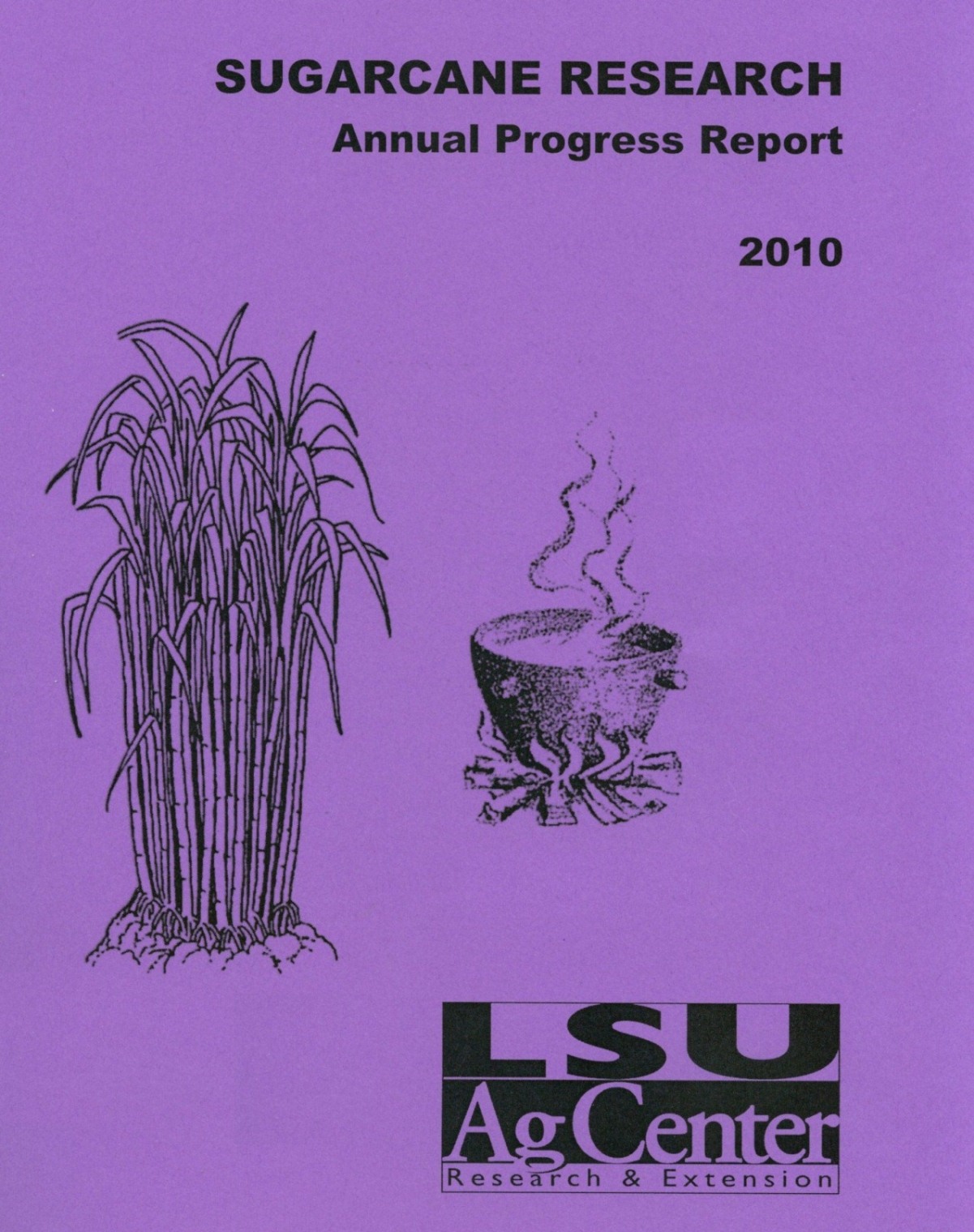 2010 Sugarcane Annual Report