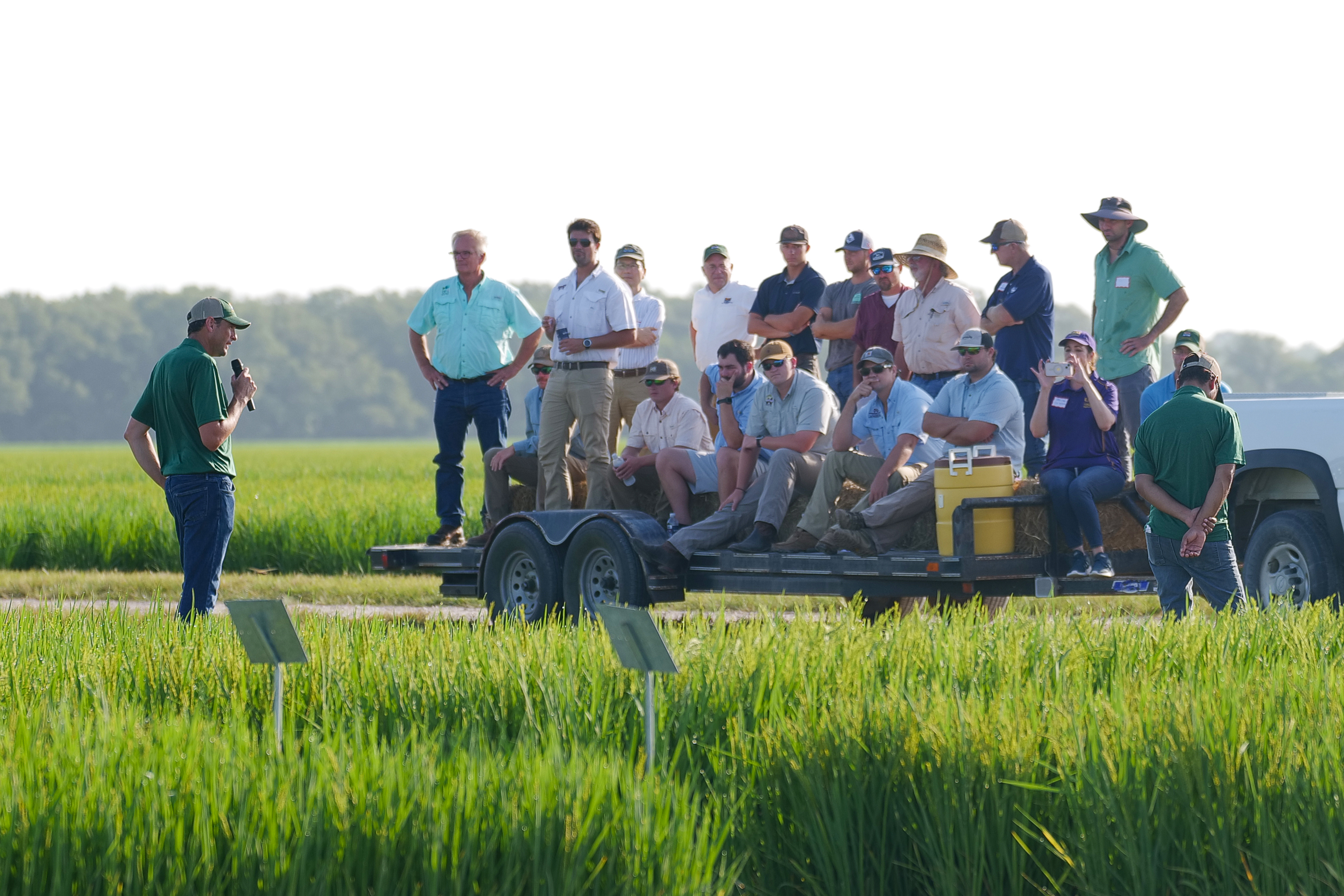  June 25 field day will showcase AgCenter rice research