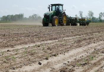 Soybean planting moving fast in Louisiana