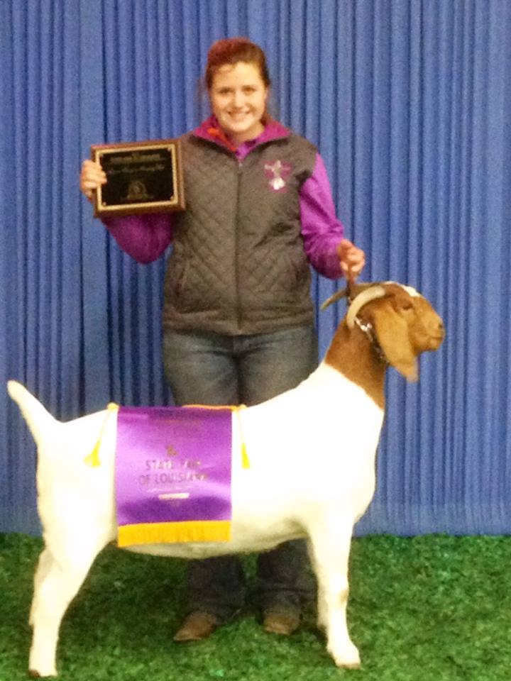 2013 Louisiana State Fair : Red River Parish 4-H Livestock