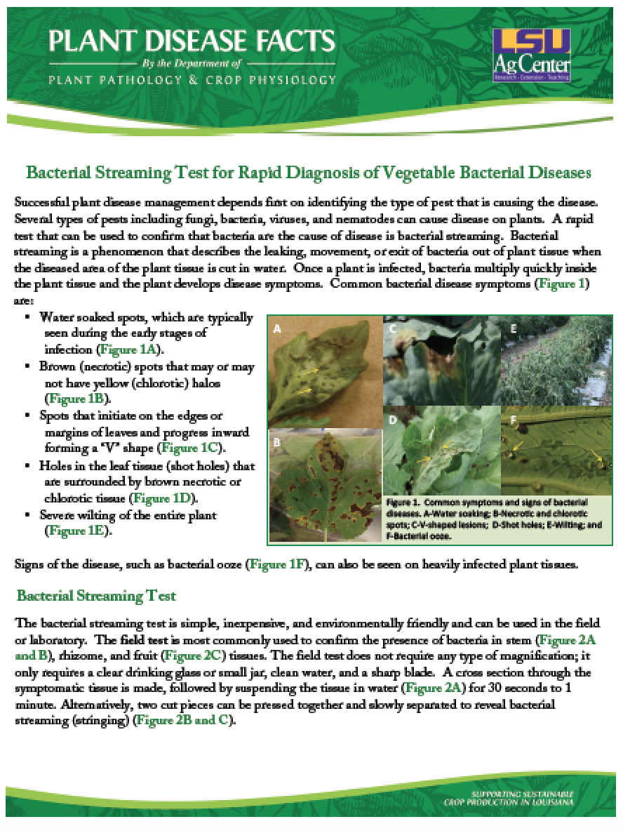 Plant Disease Facts-On-Line Series
