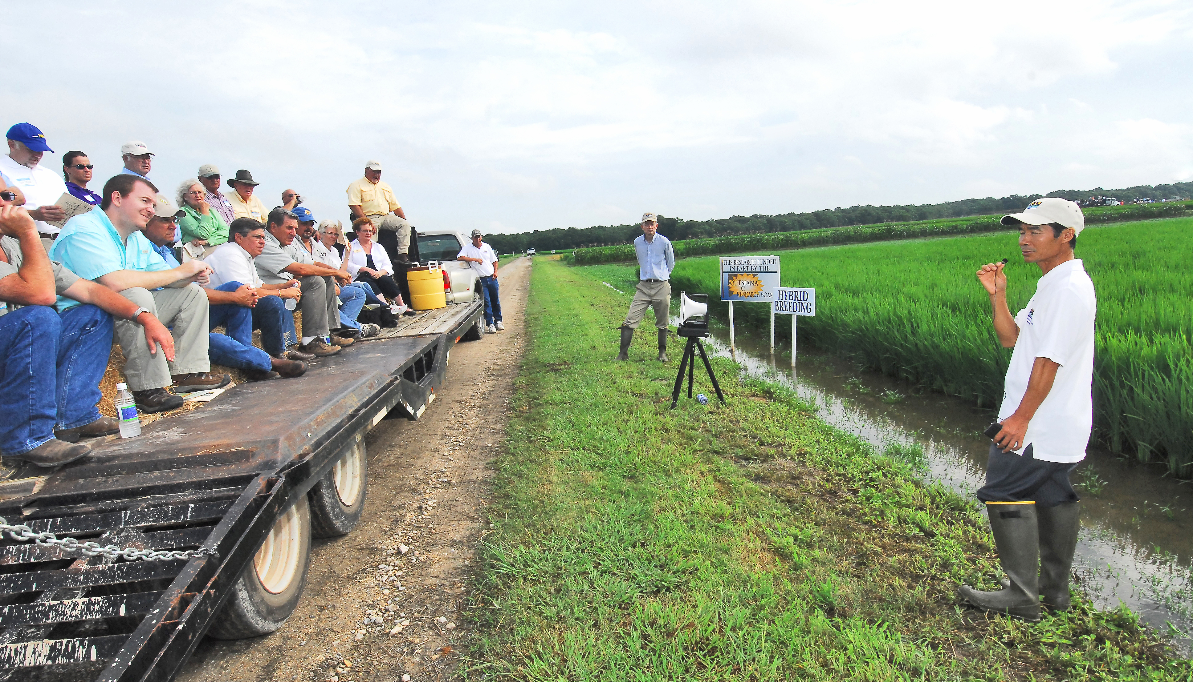 Rice farmers warned that budget cuts could hurt LSU AgCenter research effort