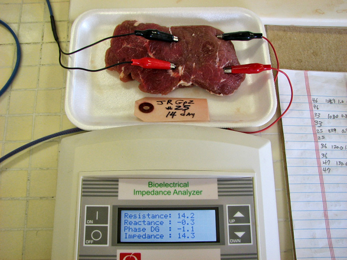 Tenderness and Electrical Impedance of Ribeye Steaks from Steers Finished on Forage