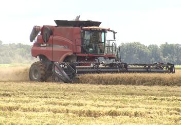 China opens market to U.S. rice