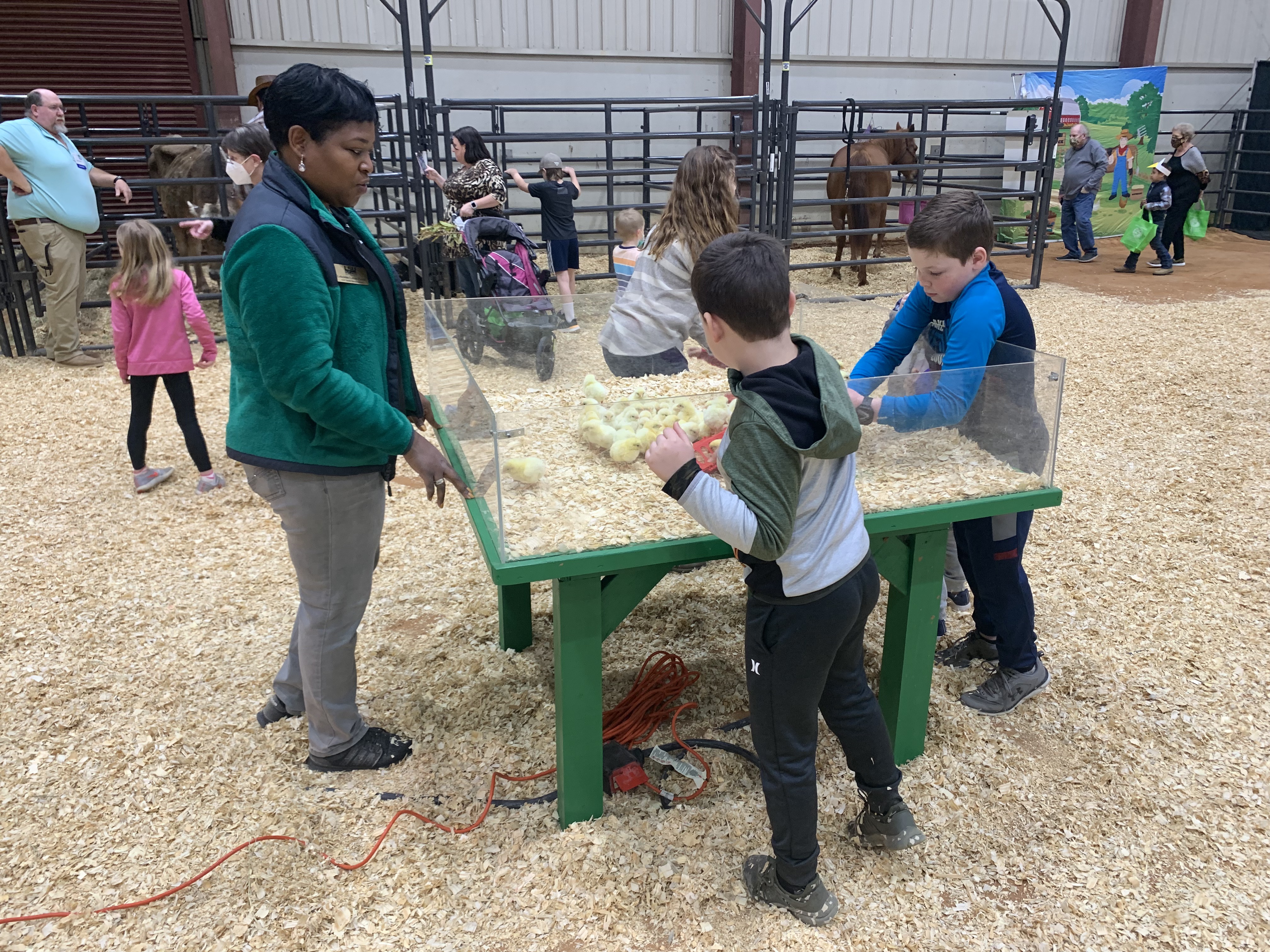 Children playing with chicklets at Ag Alley.