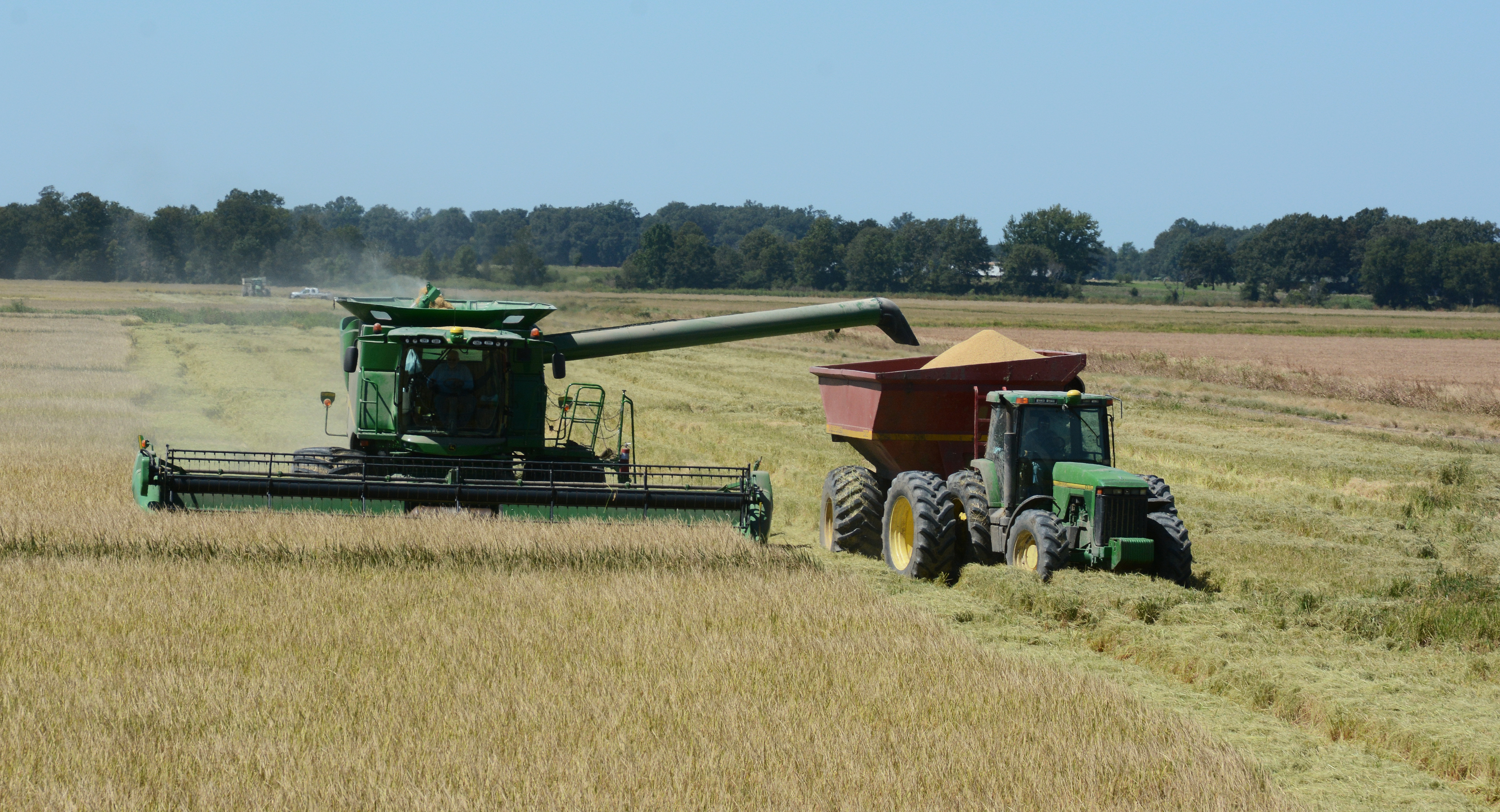 2014 Louisiana rice crop better than expected