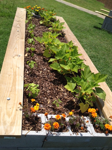 GARDEN 2