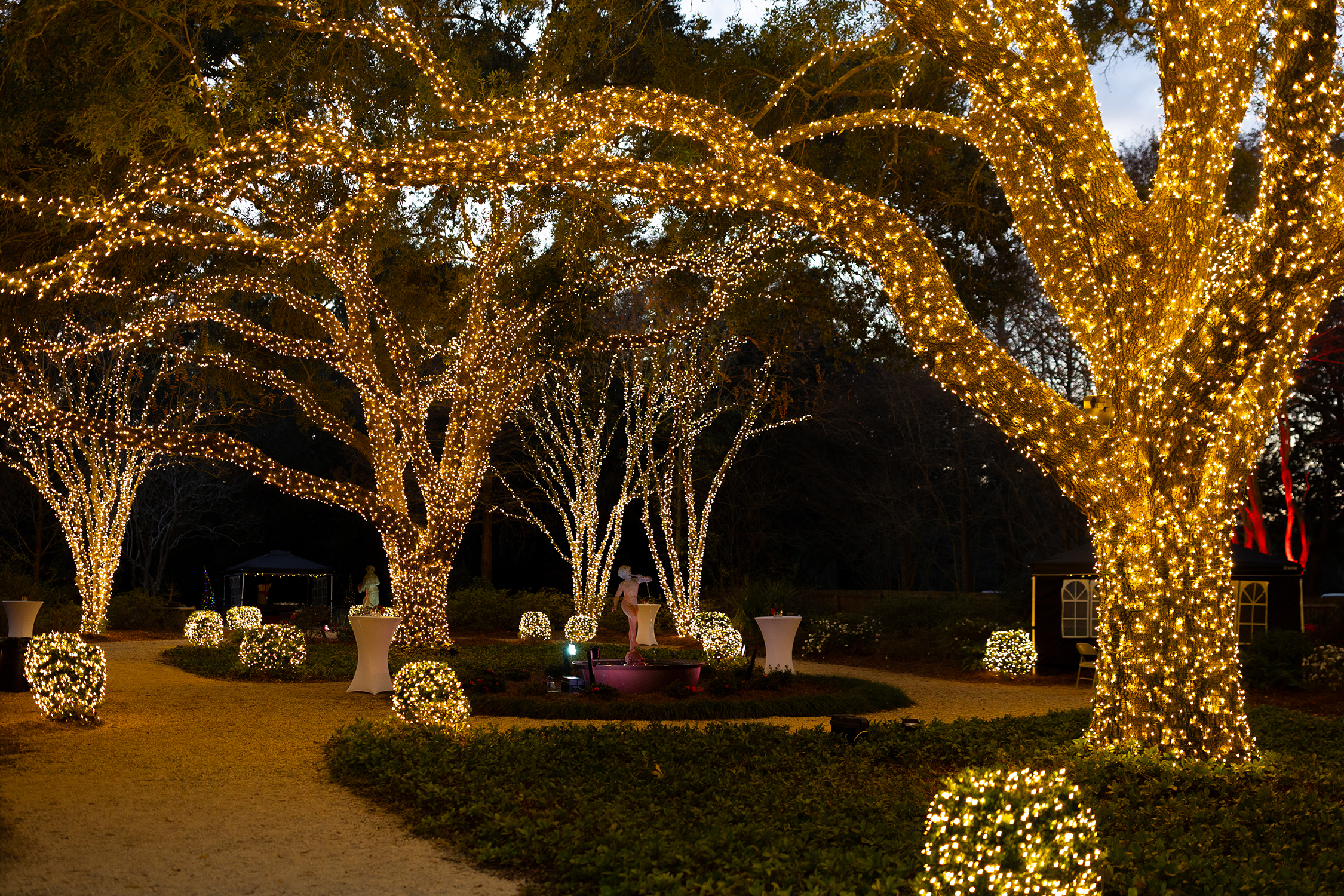 A Christmas wish come true: Louisiana Lights debuts at Windrush Gardens 