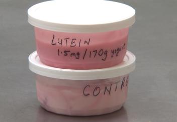 Dairy research aims to improve health profile of yogurt