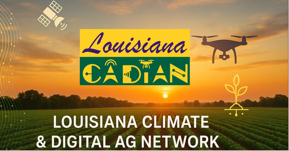 LACADIAN_webpage_cover.PNG thumbnail
