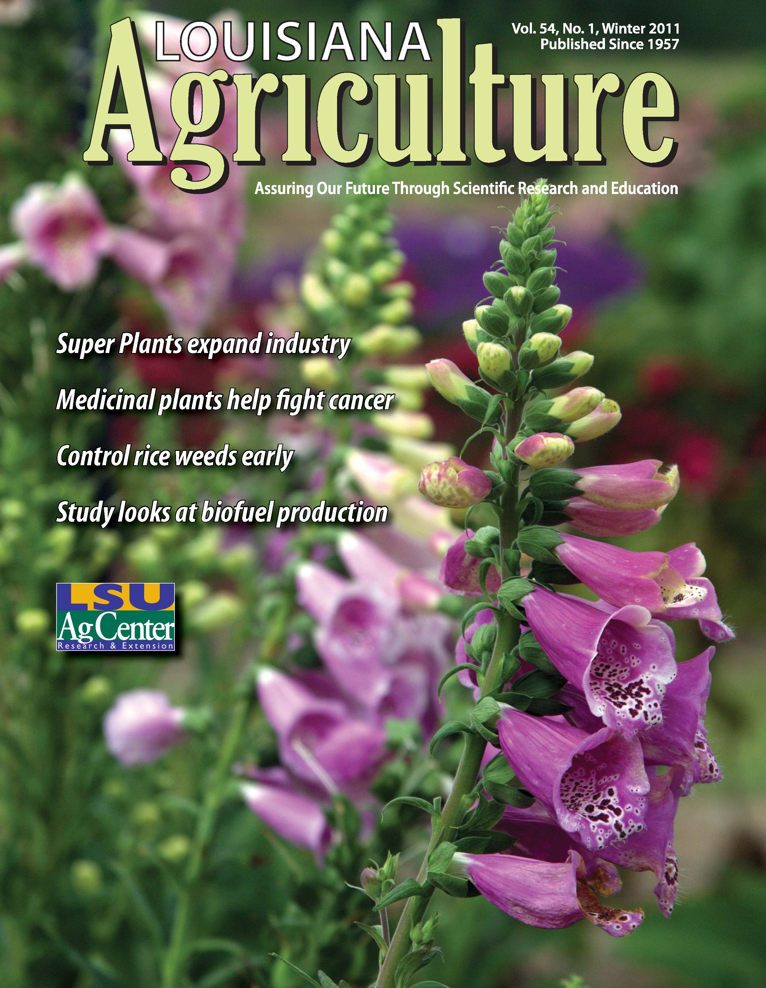 Louisiana Agriculture Magazine Winter 2011
