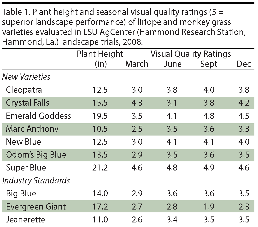 New Liriope and Monkey Grass Groundcover Varieties for Louisiana
