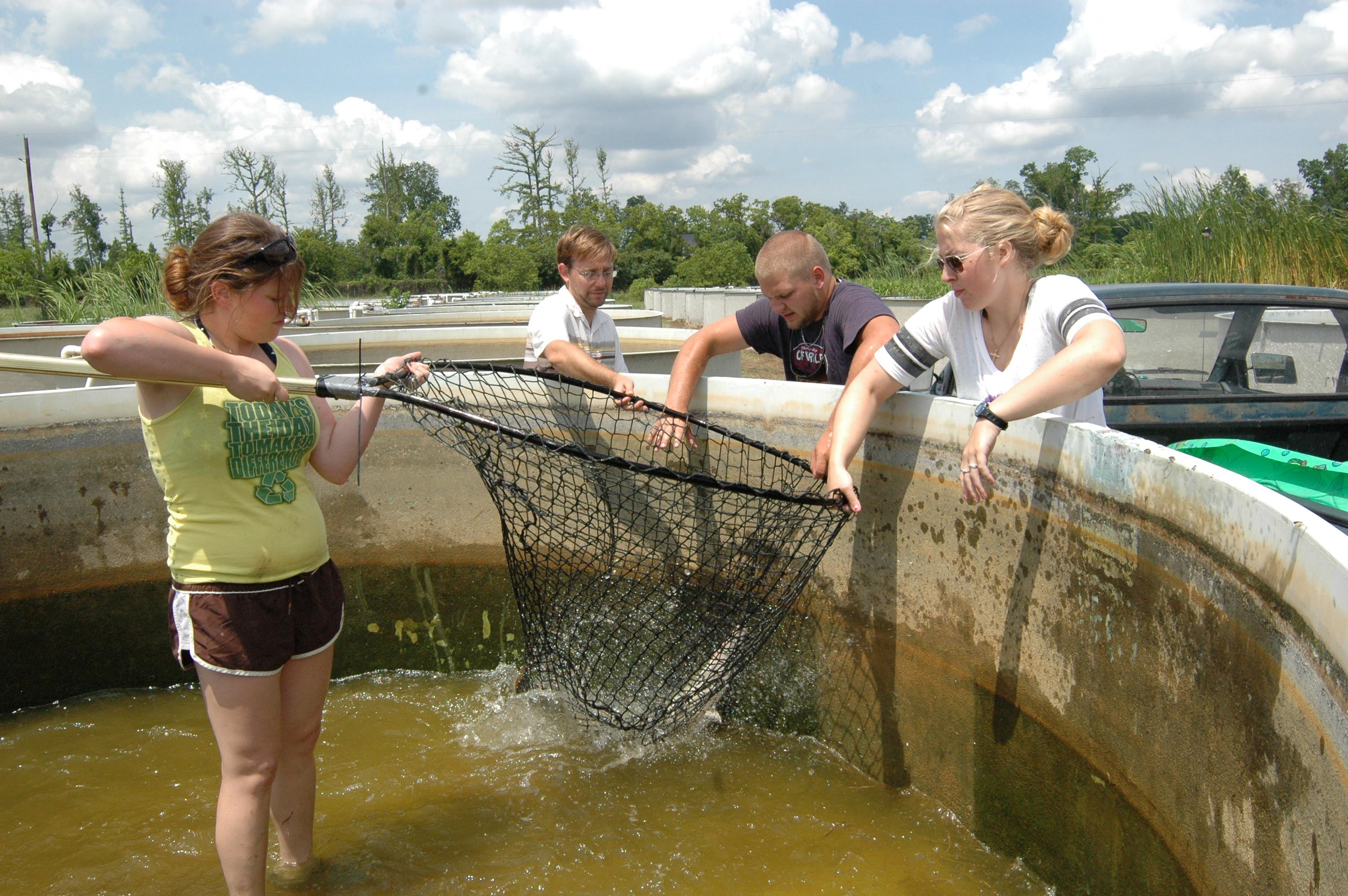 LSU AgCenter  scientist wins national award