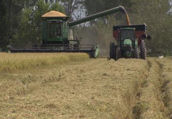 Louisiana Master Farmer program promotes good stewardship