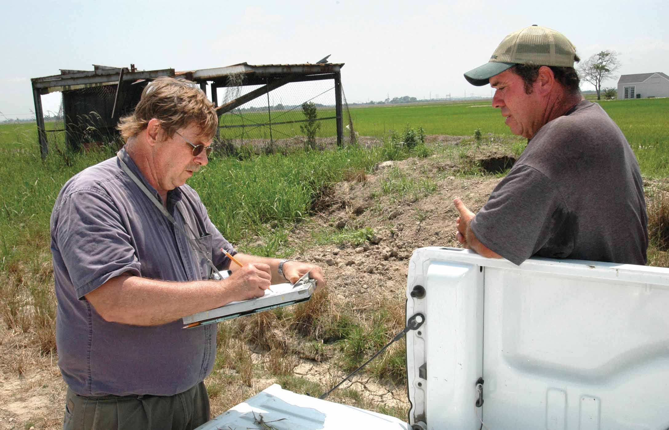 Unraveling Mystery Malady in South Louisiana Rice