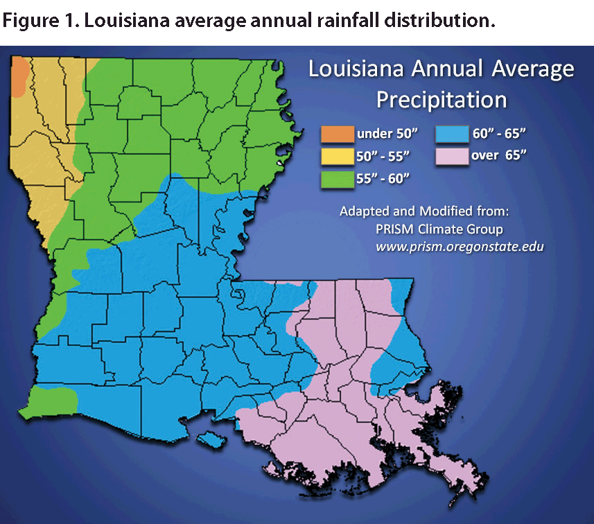 Precipitation Patterns Over the Bayou State
