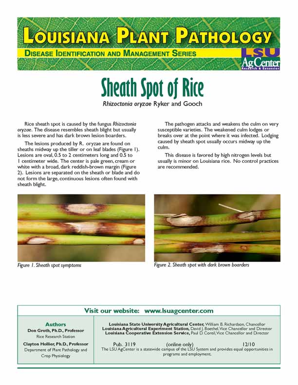 Sheath Spot