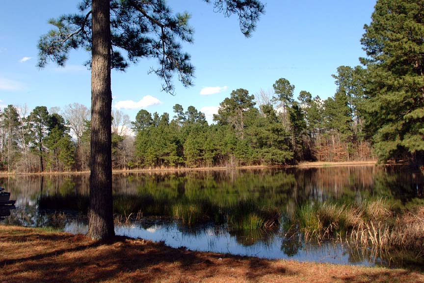 photo of a recreational pond