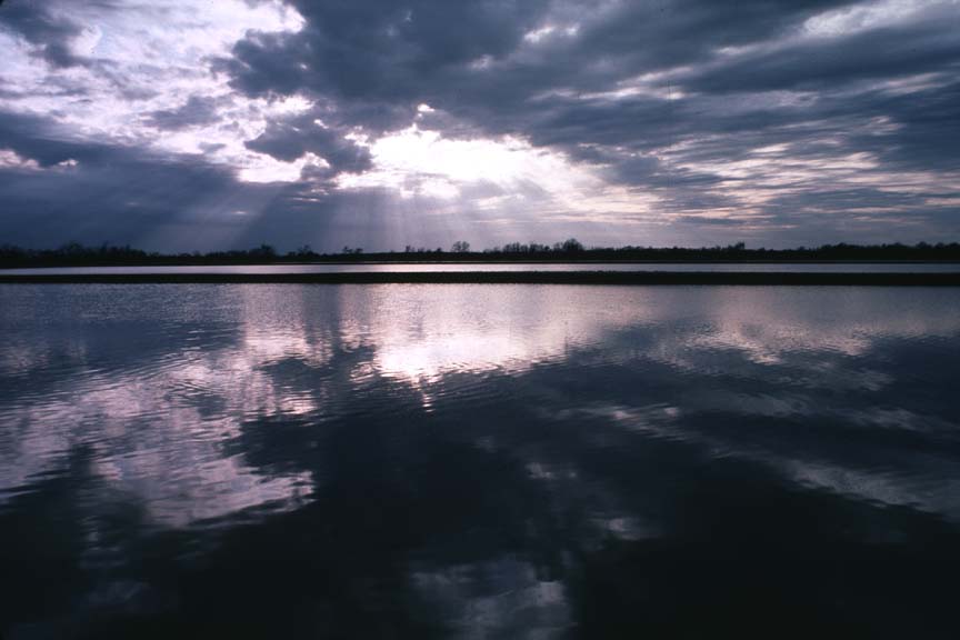 photo of the sunrise on a catfish pond