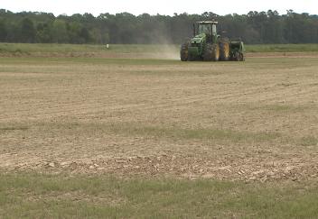Rice planting nearing completion in south Louisiana