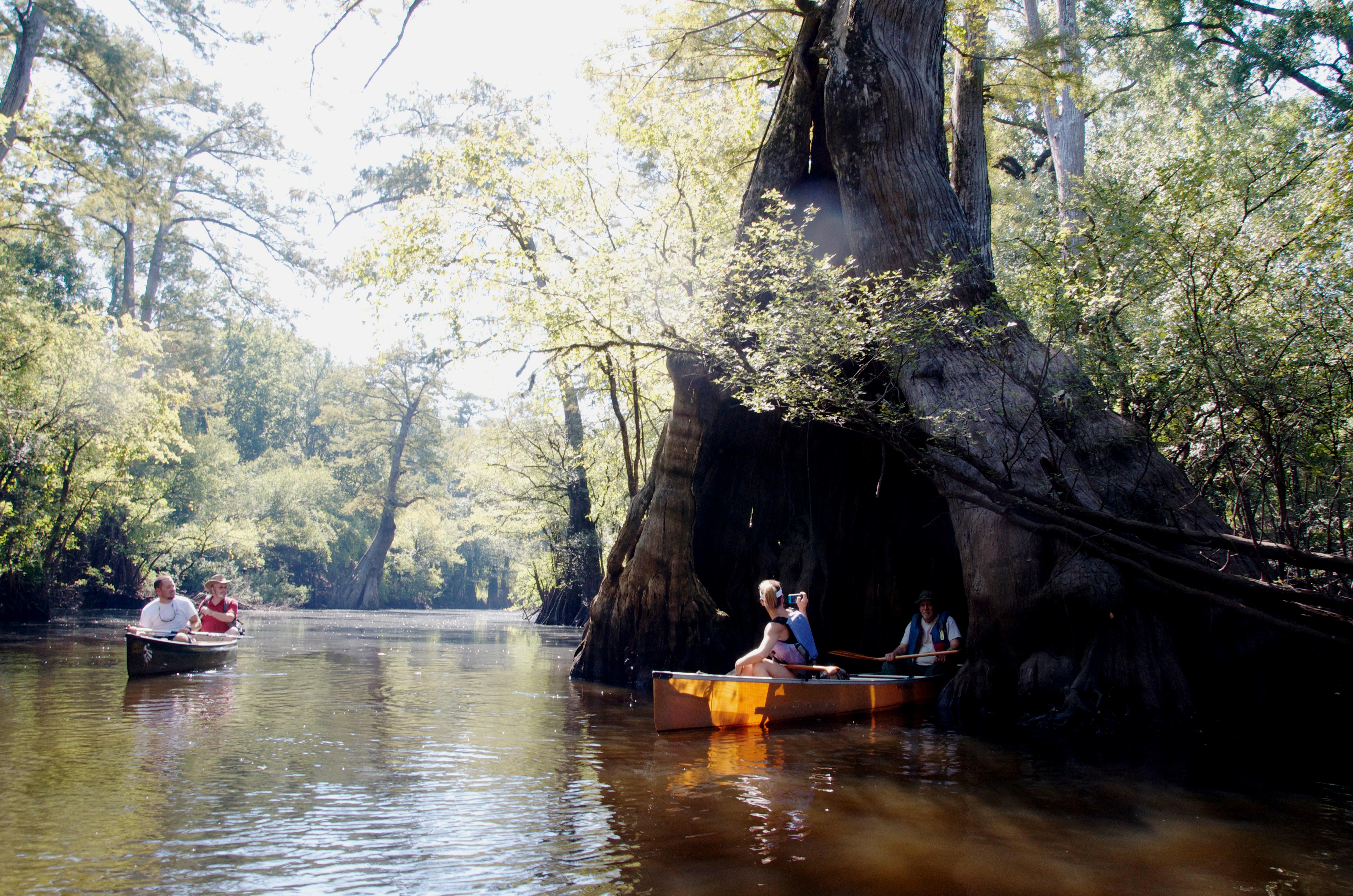 Ecotourism project leads to 3 canoeing trails